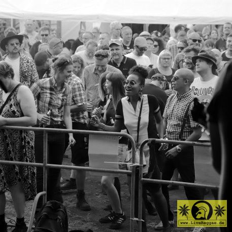 Intensified (UK) Riverside Stomp - Reduit, Mainz-Kastel - 8. Juli 2023 (14).JPG